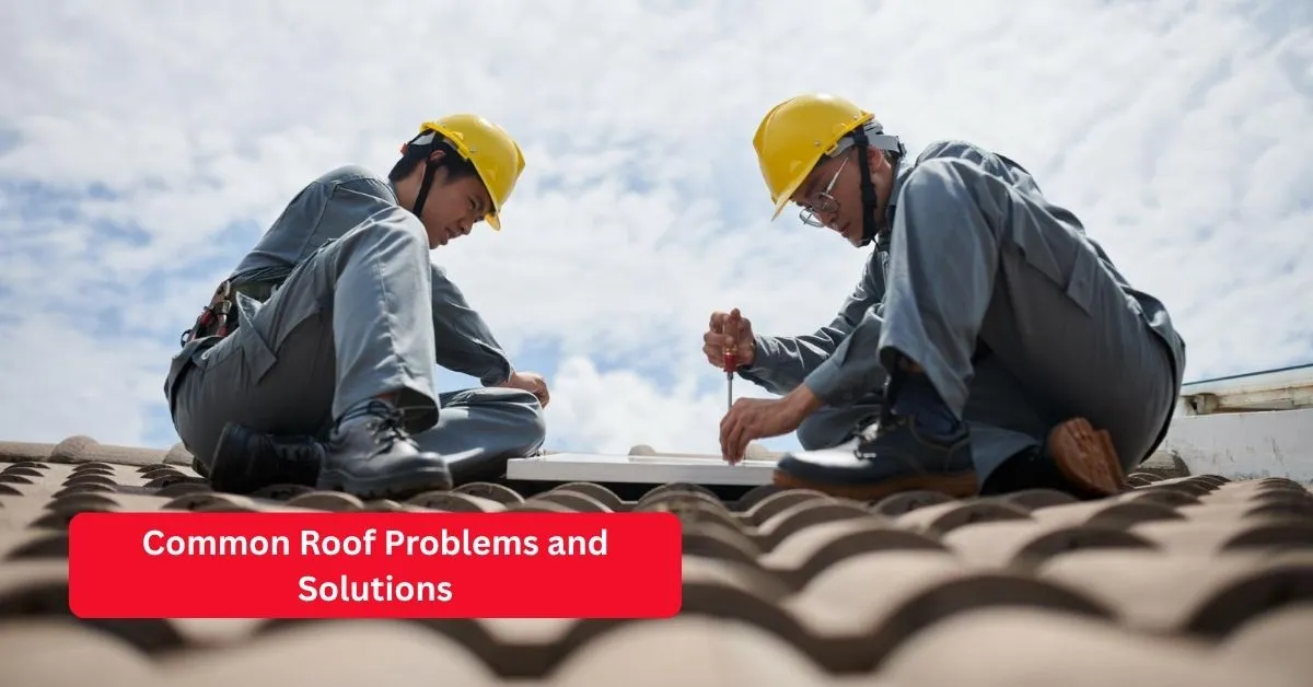 Common Roof Problems and Solutions