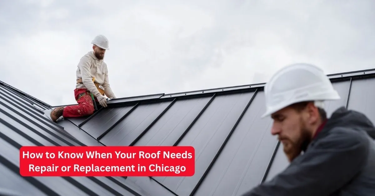How to Know When Your Roof Needs Repair or Replacement in Chicago